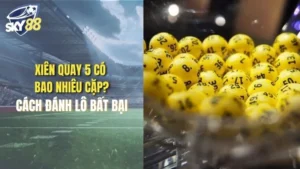 Xiên quay 5 có bao nhiêu cặp?